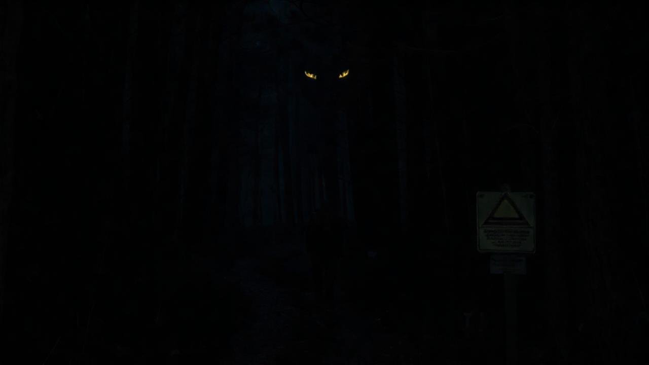 El caminante se enfrenta a la oscuridad