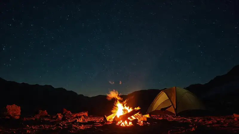 Noche campestre