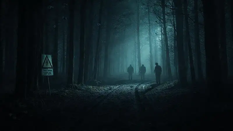 Un bosque oscuro y vigilado es amenazante